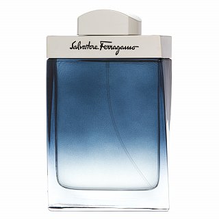 Ferragamo Subtil Pour Homme woda toaletowa dla mężczyzn 100 ml