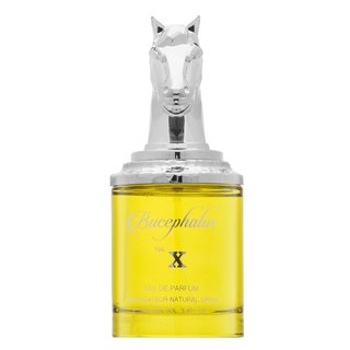 Armaf Bucephalus No. X woda perfumowana dla mężczyzn 100 ml
