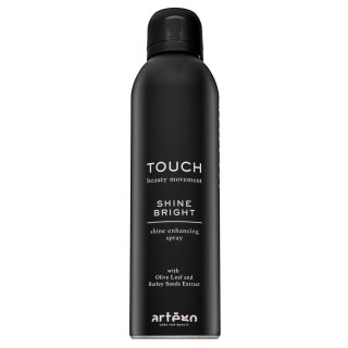 Artègo Touch Shine Bright Shine Enhancing Spray spray do stylizacji do włosów bez połysku 250 ml