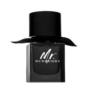 Burberry Mr. Burberry