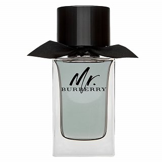 Burberry Mr. Burberry