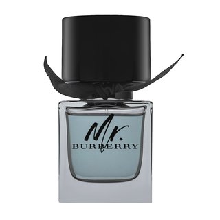 Burberry Mr. Burberry Woda toaletowa 50 ml można nabyć na stronie Brasty.pl