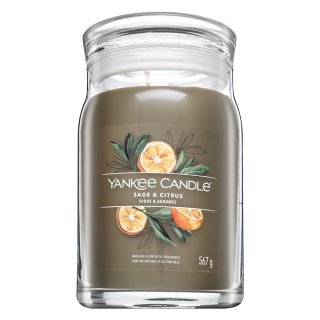 Yankee Candle Sage & Citrus świeczka zapachowa Signature 567 g