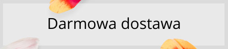 Darmowa dostawa
